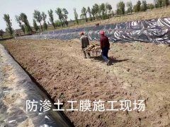 园林绿化建设可选择防渗土工膜铺设