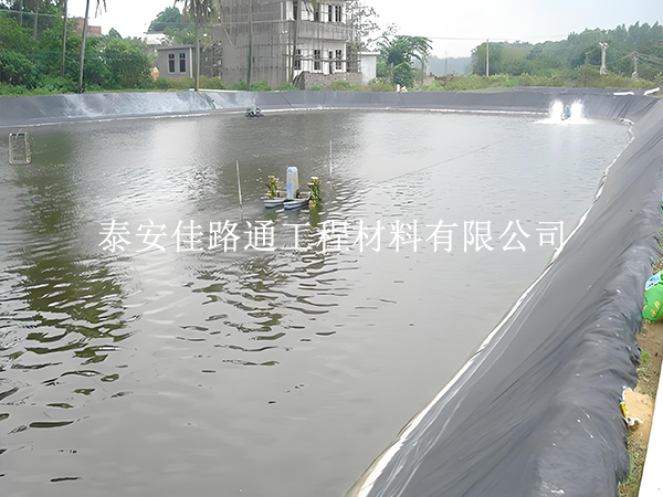 鱼虾养殖防渗膜选黑还是白？掌握这些原则不选错