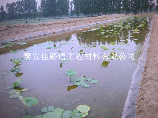 养殖防渗膜施工别大意，这些控制要点要