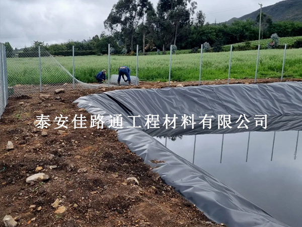 养殖防渗膜在养猪场污水处理中的核心作用：防