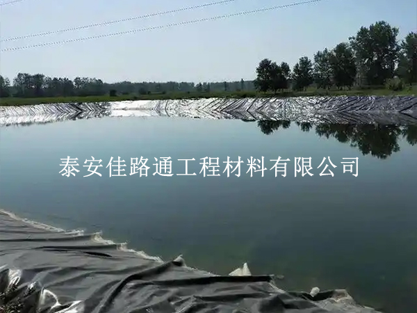 告别鱼塘漏水塌方:水产养殖防渗膜基面平整度控制全攻略 告别鱼塘漏水塌方:水产养殖防渗膜基面平整度控制全攻略
