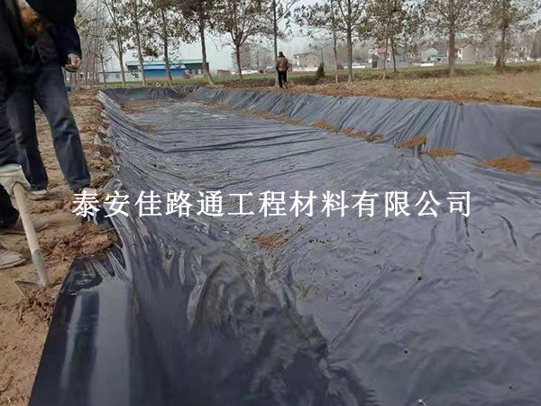 拒绝返工与漏水：藕池防渗膜施工的标准化操作规范