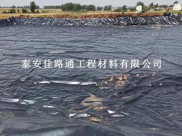 鱼塘防渗膜雨季焊接，这几点必须卡住